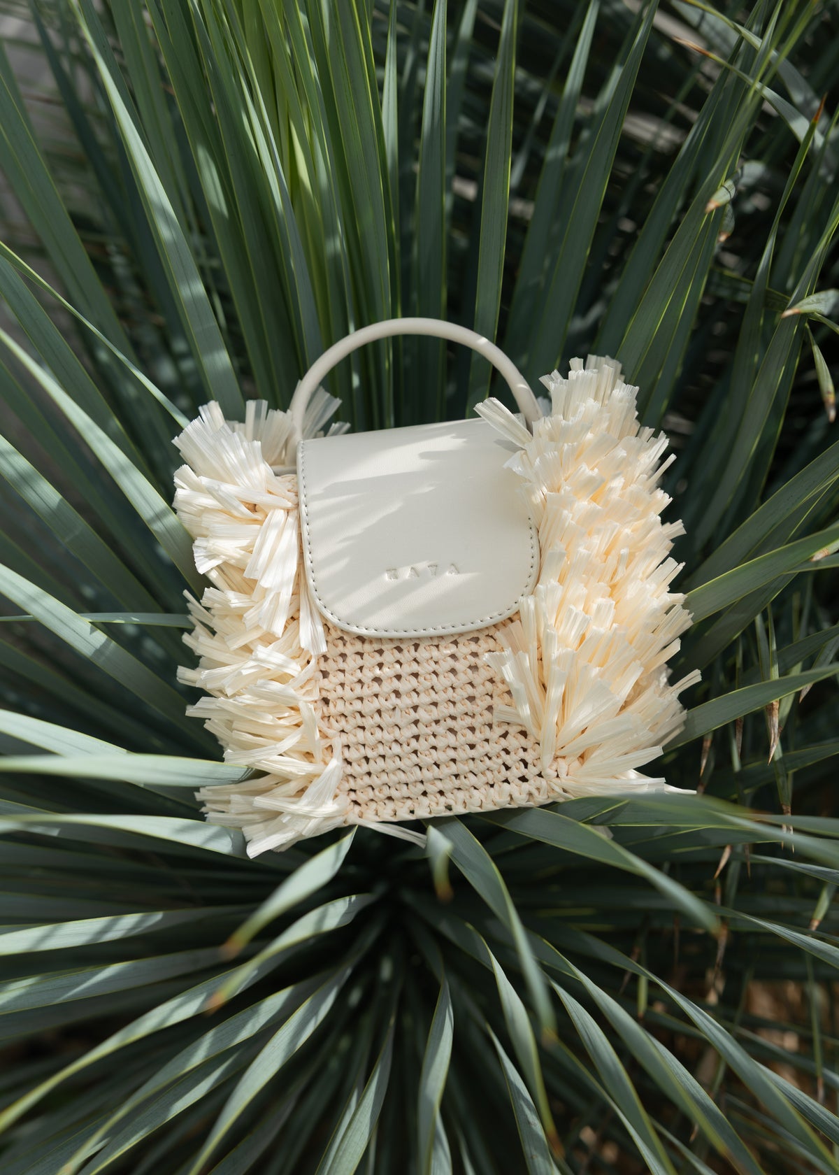 BONBON Morning Ivory